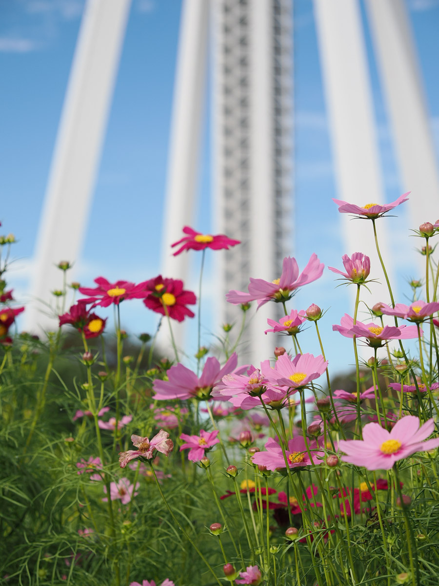 OM SYSTEM OM-3で撮った写真