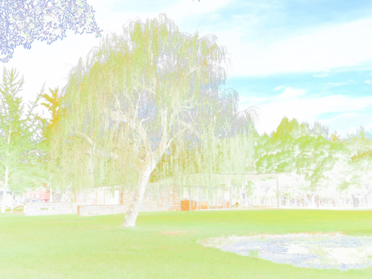 OM SYSTEM OM-3で撮った写真