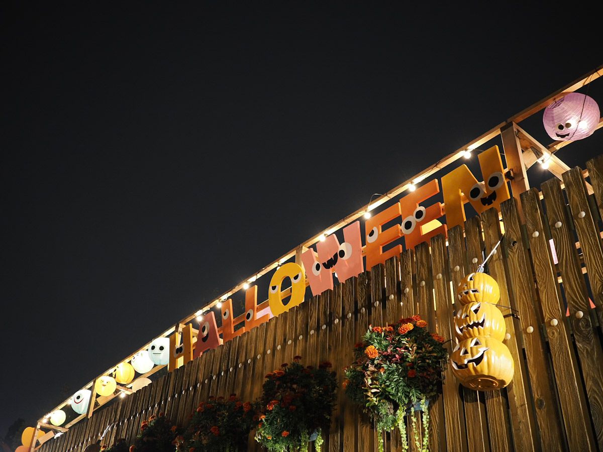 OM SYSTEM OM-3で撮った写真