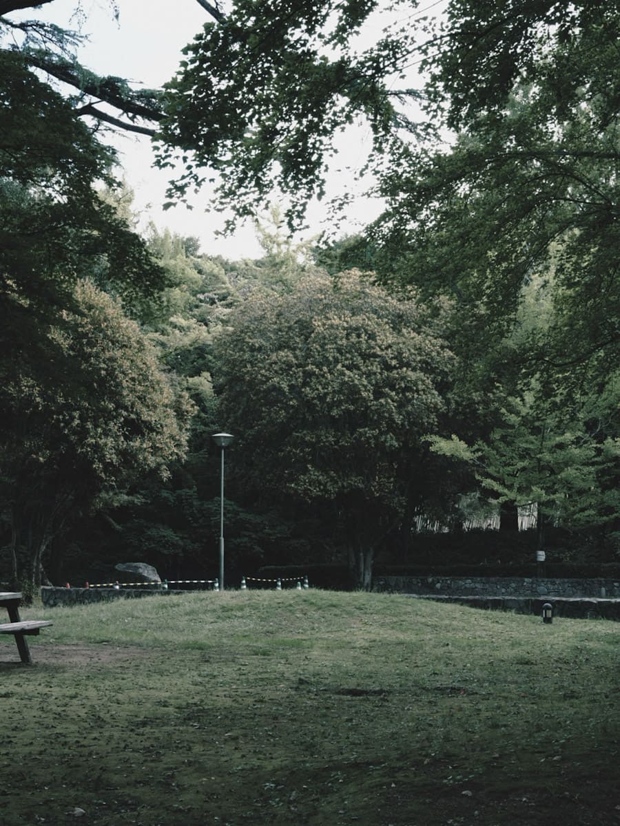 OM SYSTEM OM-3で撮った写真