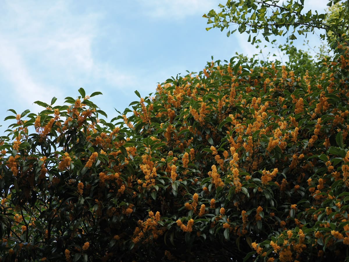 OM SYSTEM OM-3で撮った写真