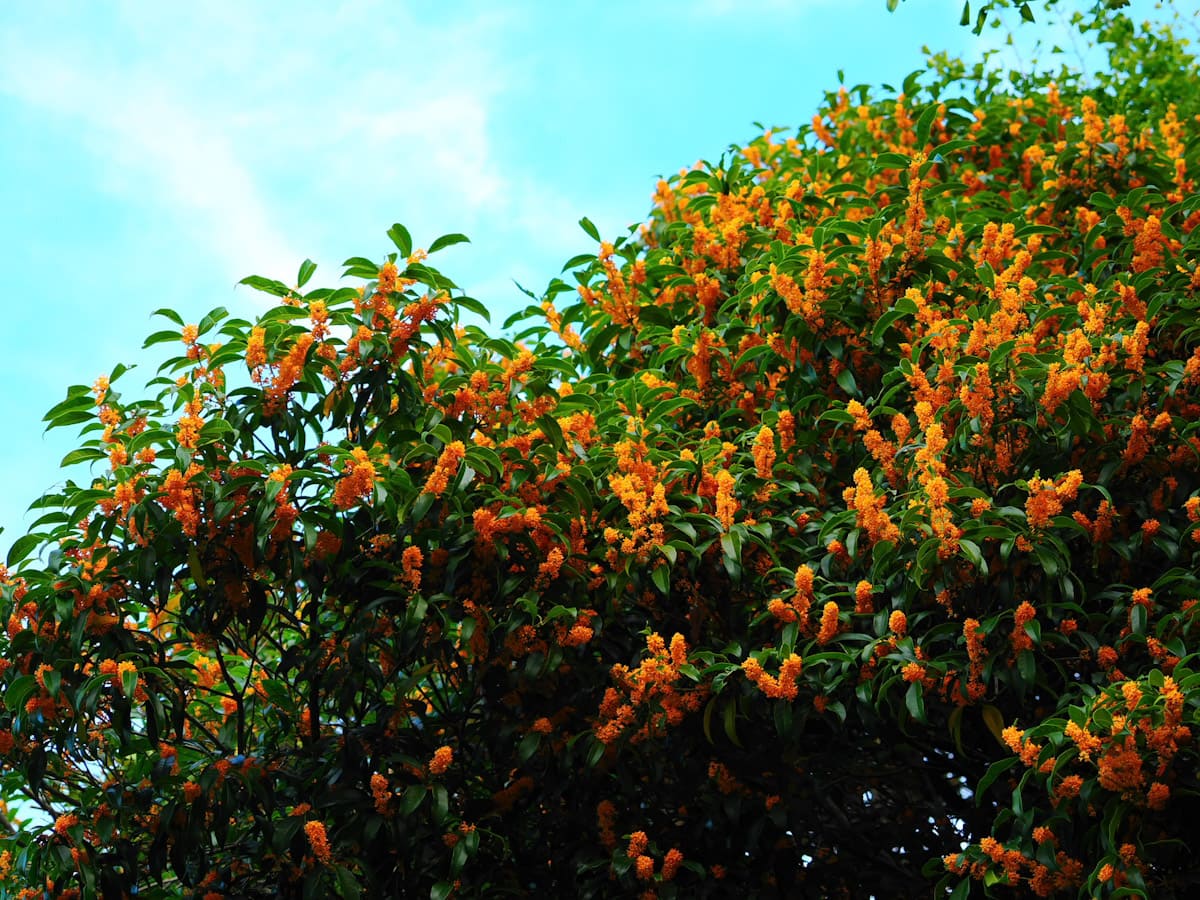 OM SYSTEM OM-3で撮った写真