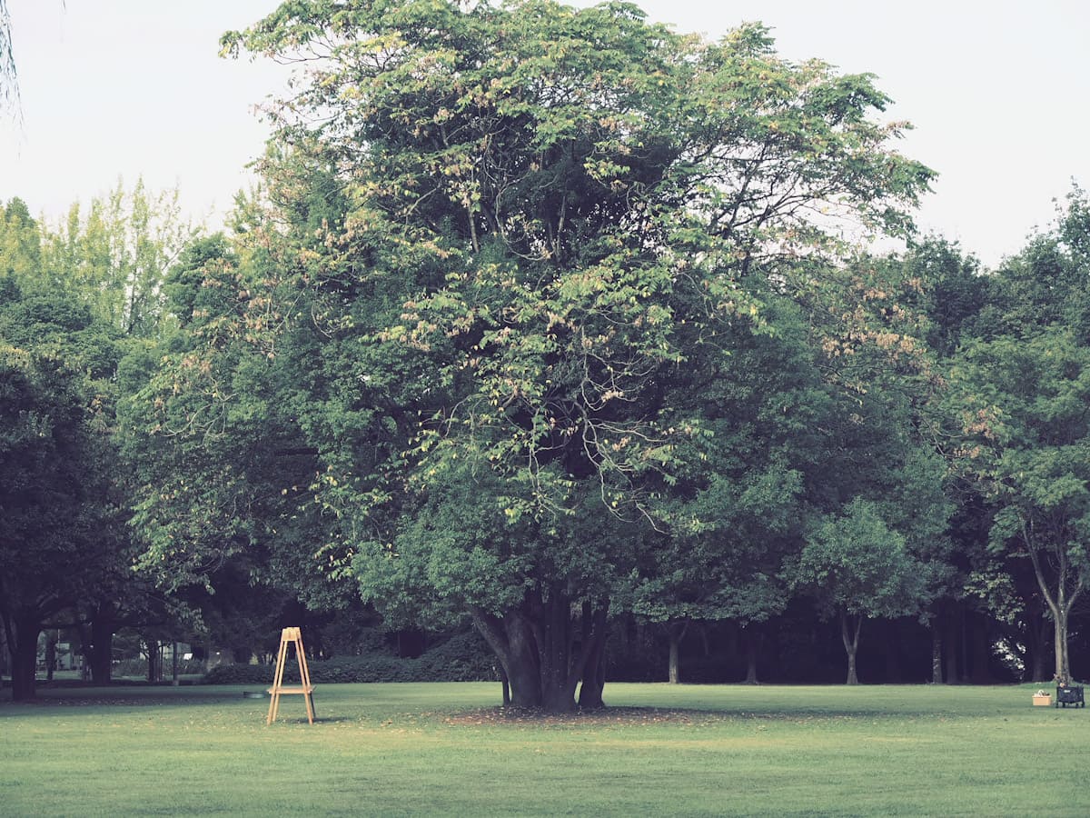 OM SYSTEM OM-3で撮った写真