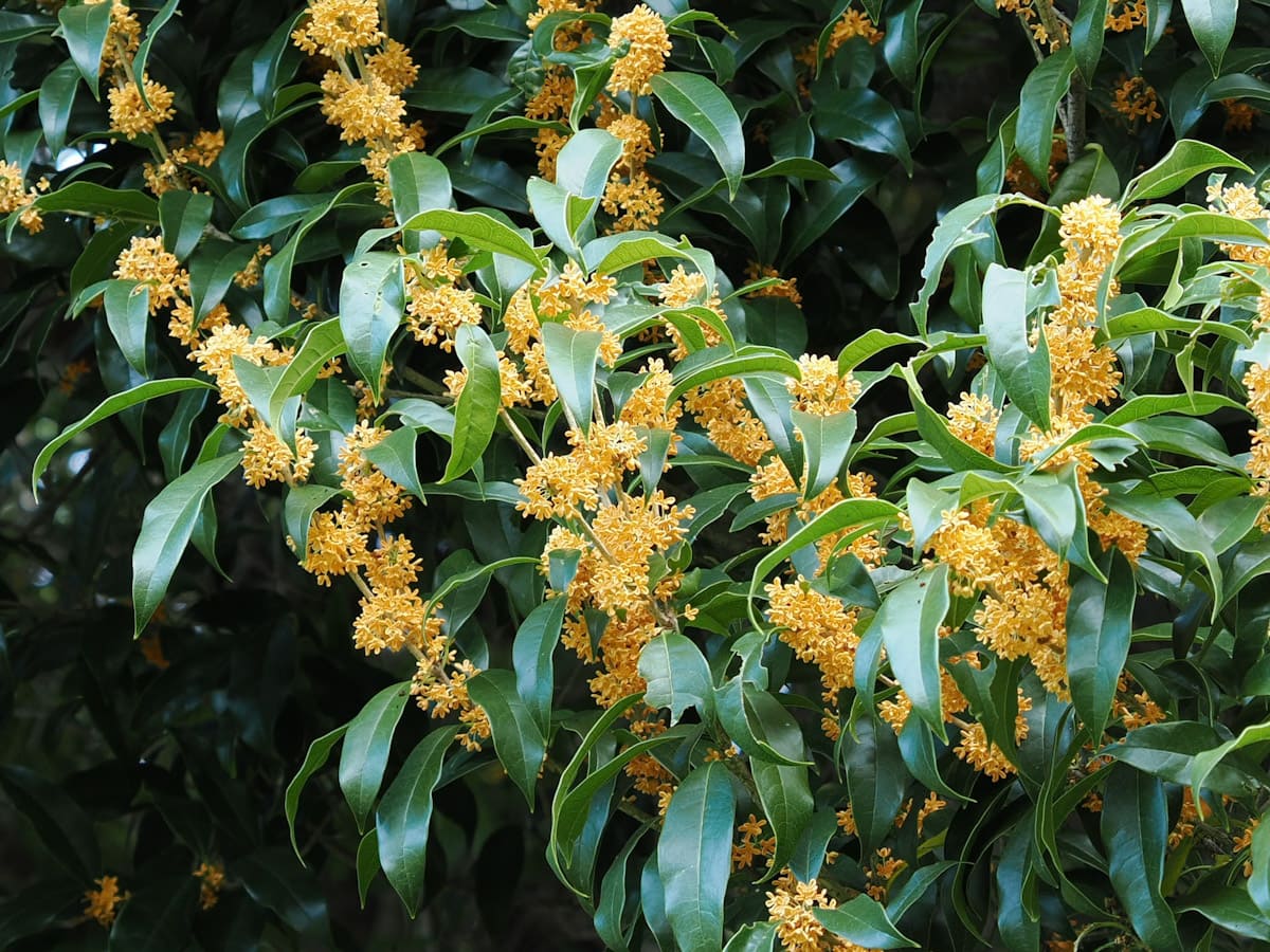 OM SYSTEM OM-3で撮った写真