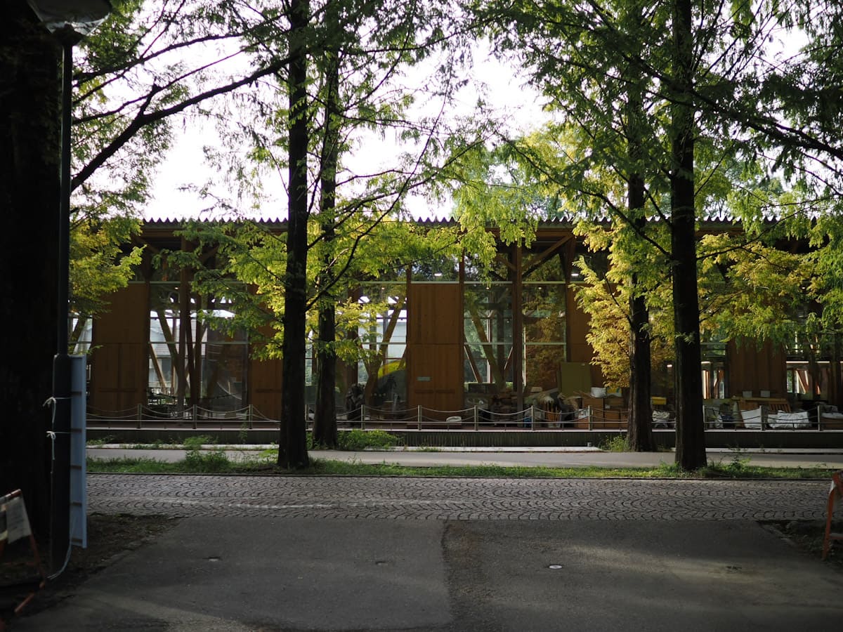 OM SYSTEM OM-3で撮った写真