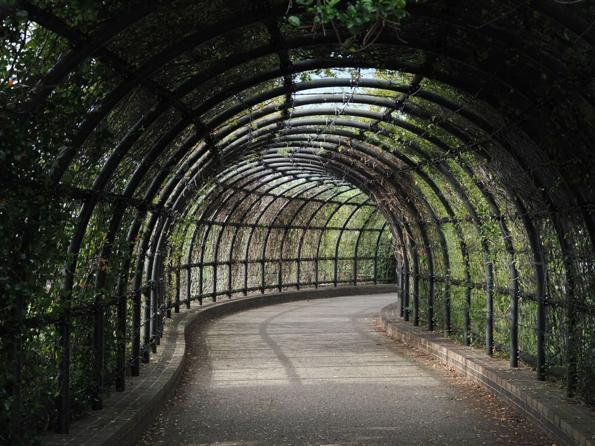 OM SYSTEM OM-3で撮った写真