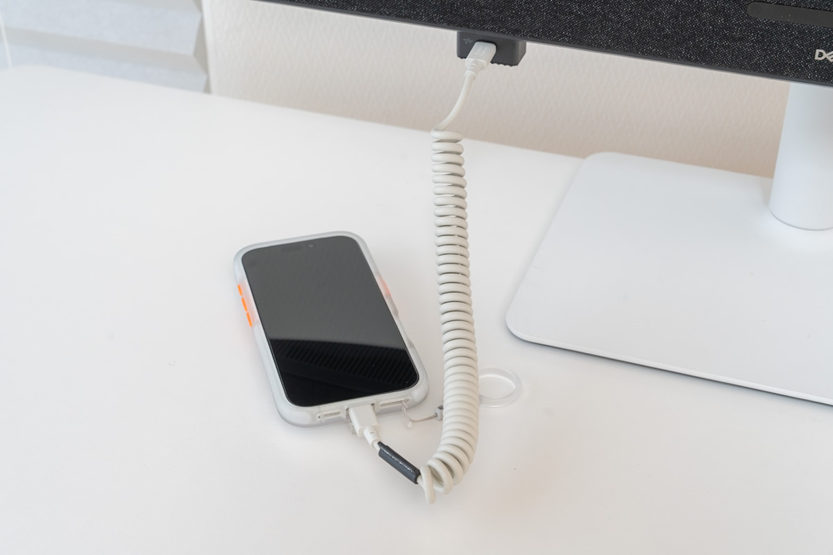 Native Union POP Cable