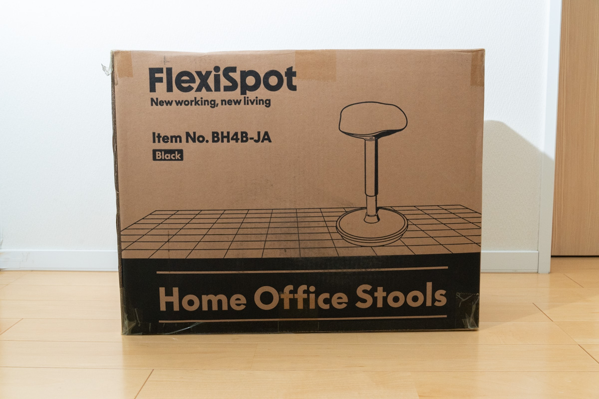 FlexiSpot BH4